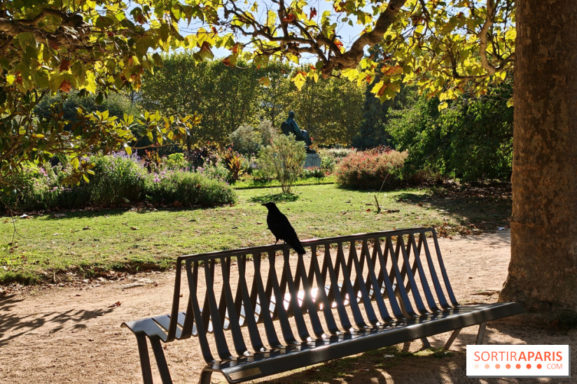 Visuel Paris 5e - corneille corbeau jardin des plantes
