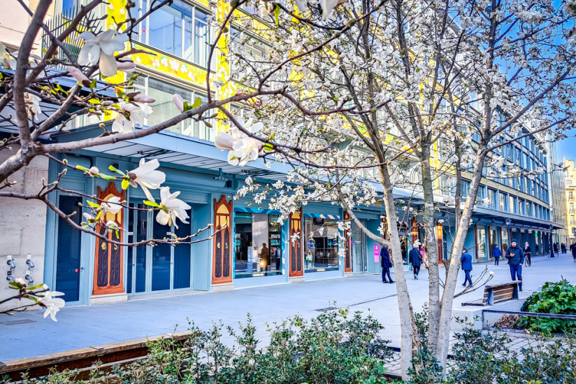 Visuel Paris 4e - Samaritaine arbres fleuris printemps