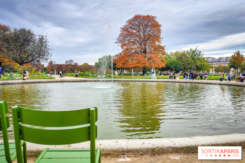 Visuel Paris 1er - jardin des Tuileries automne