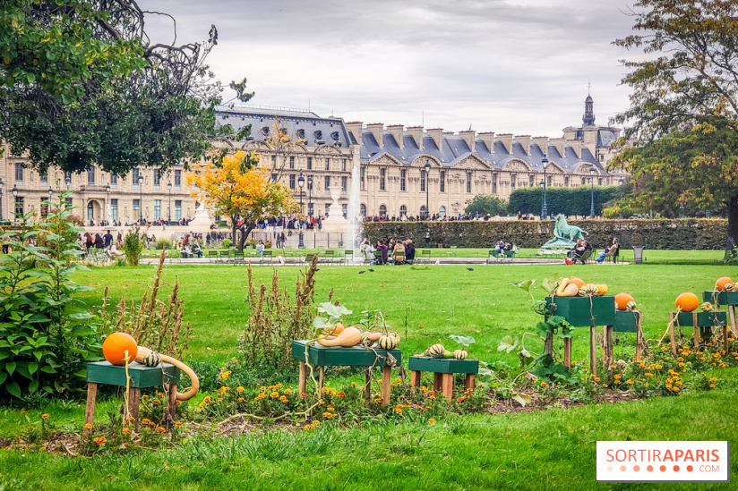 Visuel Paris 1er - jardin des Tuileries automne