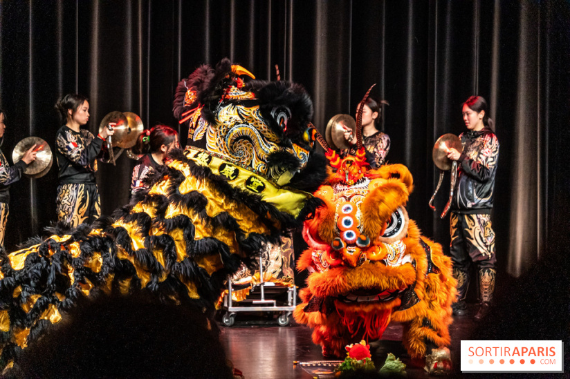 Nouvel An lunaire au Musée Guimet par le Collectif Banh Mi -  A7C6988