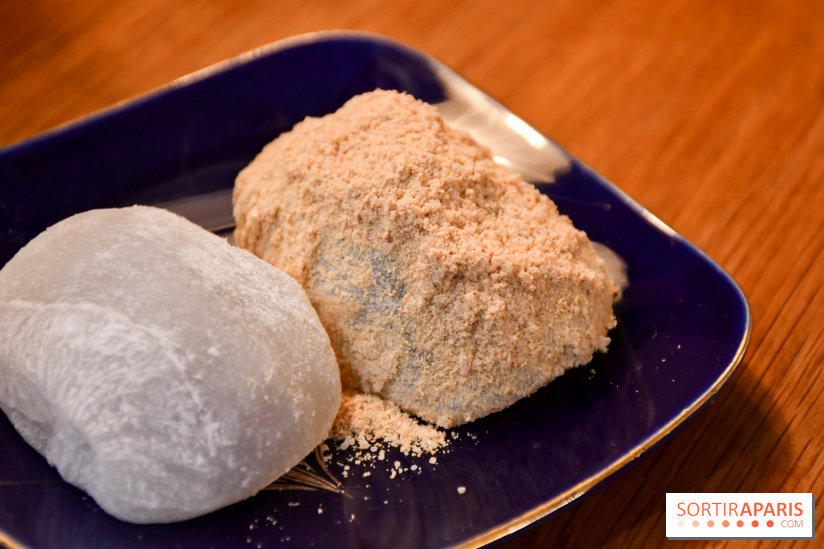 Zakuro, le restaurant authentique pour une cuisine japonaise réconfortante à Paris - DSC 0481