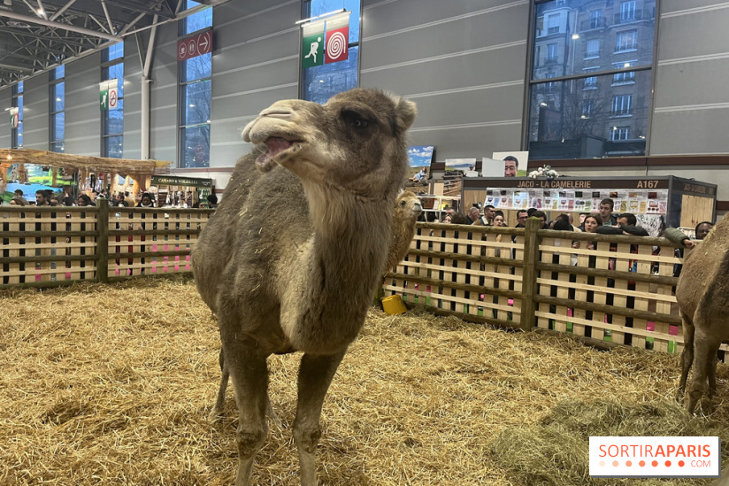 Salon de l'agriculture 2024 - image00057