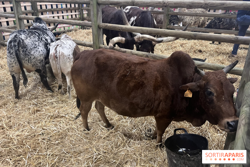Salon de l'agriculture 2024