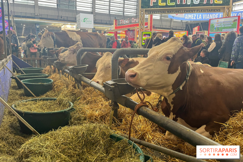Salon de l'agriculture 2024