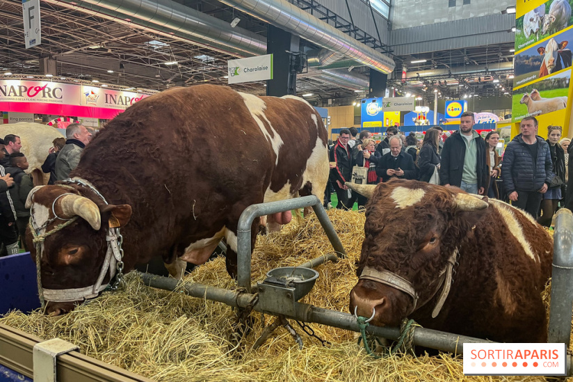 Salon de l'agriculture 2024