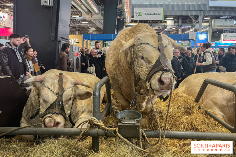 Salon de l'agriculture 2024