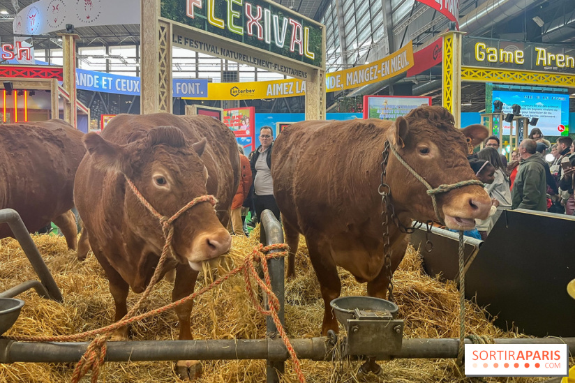 Salon de l'agriculture 2024