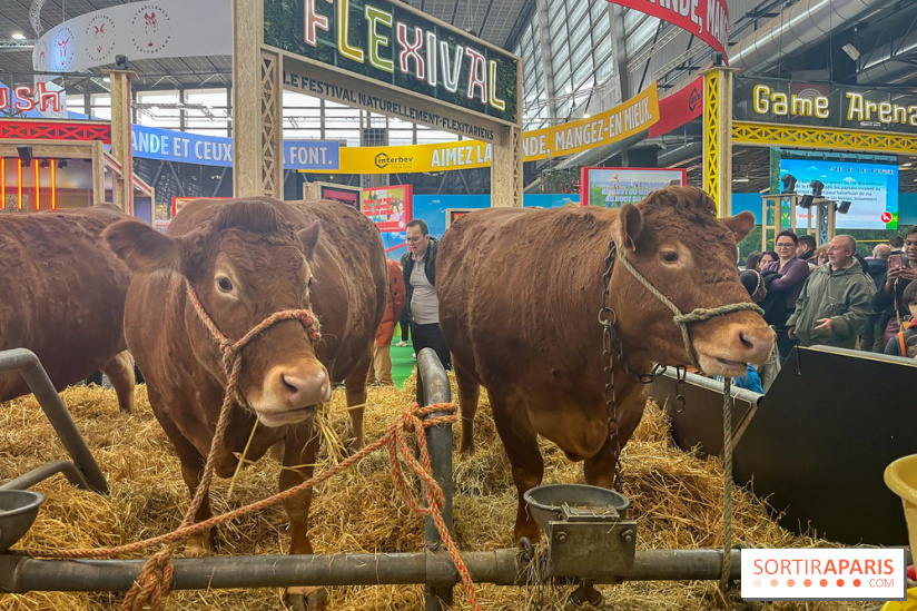 Salon de l'agriculture 2024