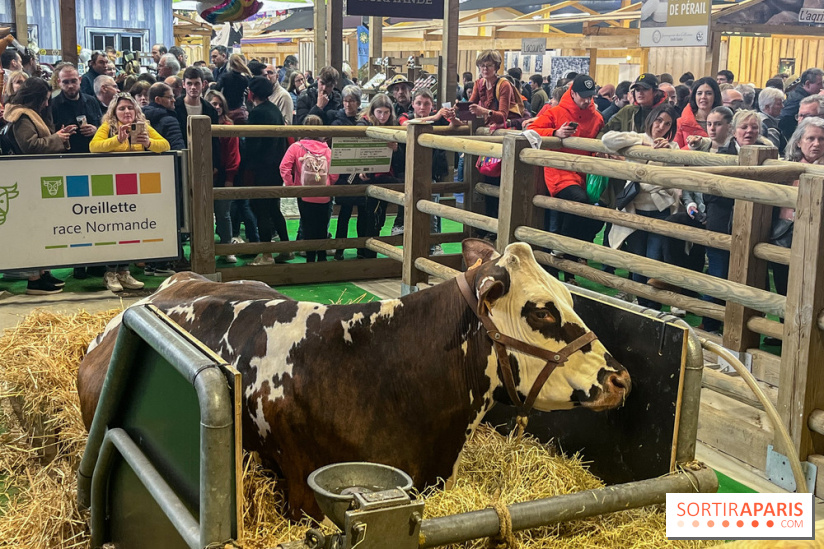Salon de l'agriculture 2024