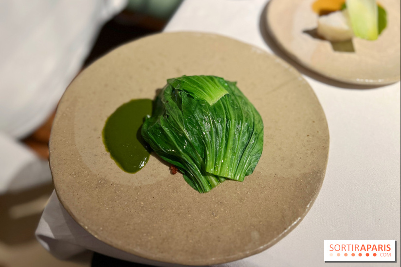 Datil - Autour du pakchoï