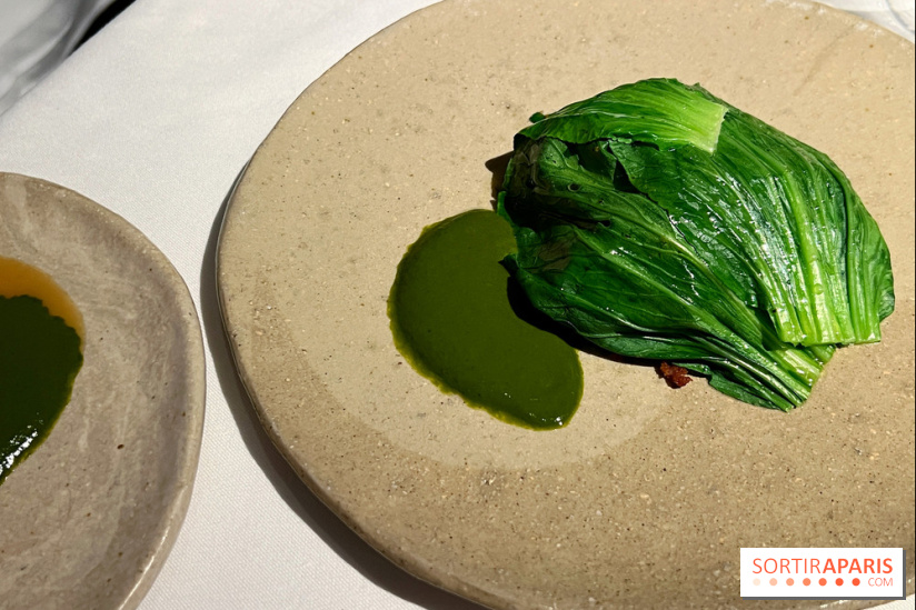 Datil - Autour du pakchoï