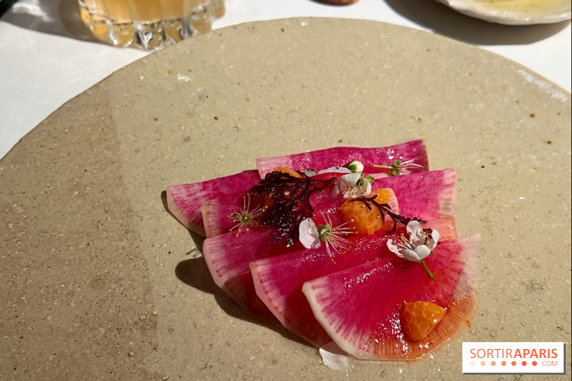 Datil - Radis, Saint-Jacques, ail