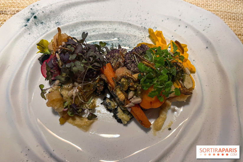 Inoveat, le restaurant gastronomique d'insectes à Paris - nos photos - image00015