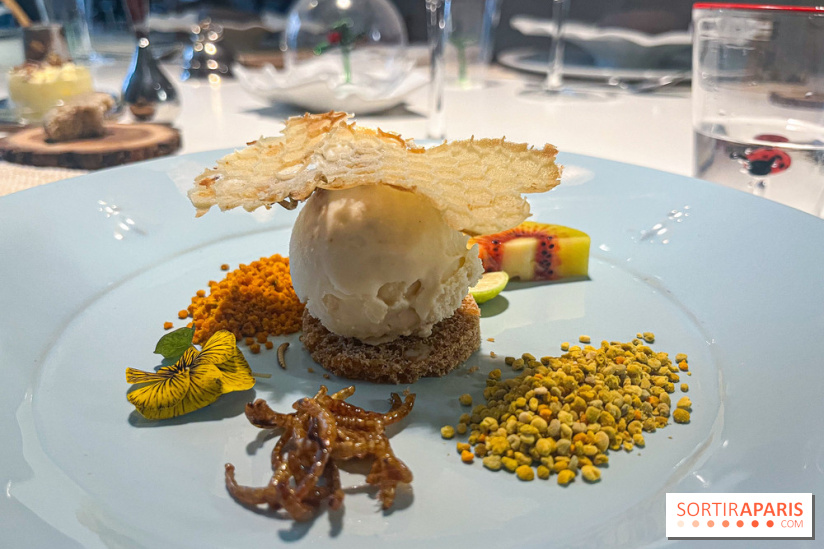 Inoveat, le restaurant gastronomique d'insectes à Paris - nos photos