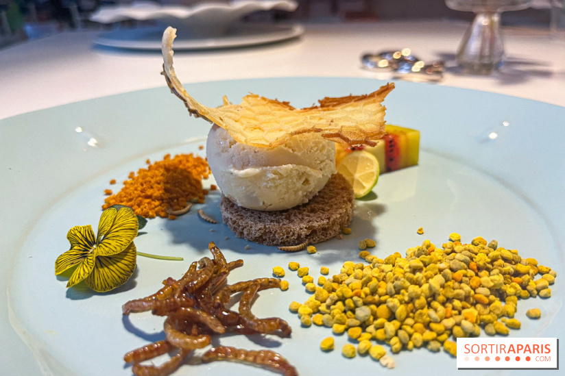 Inoveat, le restaurant gastronomique d'insectes à Paris - nos photos - image00005