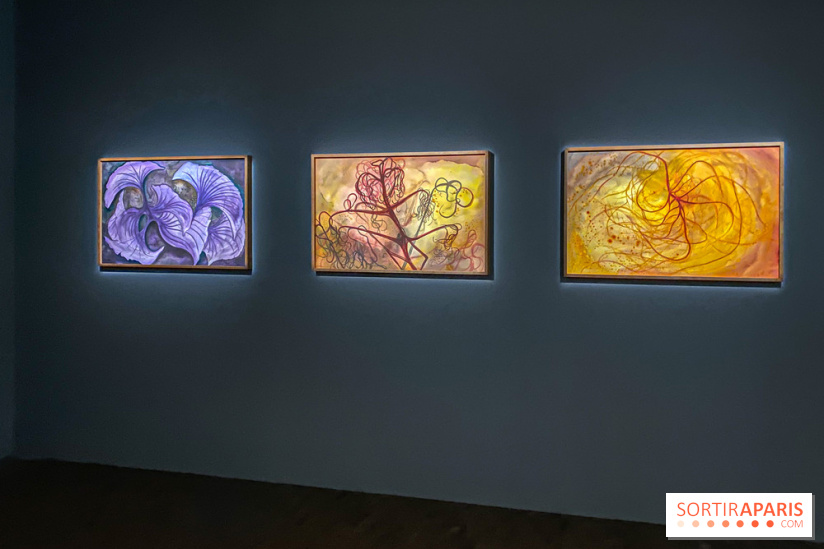 Exposition collective Coming Soon à Lafayette Anticipations - IMG 4732