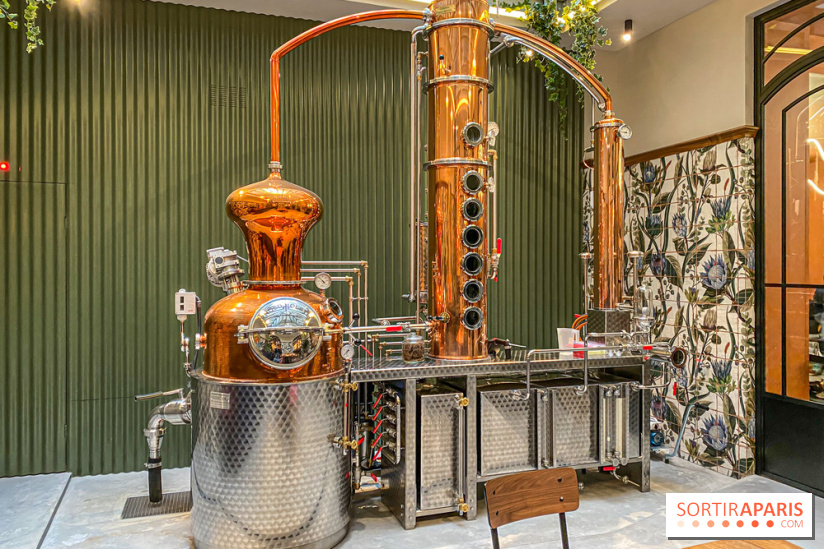 La Distillerie de l’Arbre Sec : l'atelier de création de gin à deux pas du Louvre