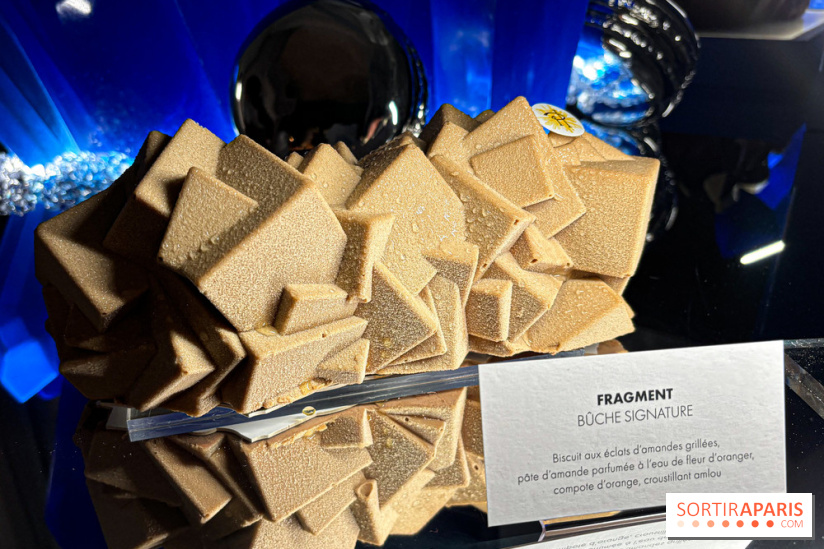 Les Bûches et créations de Noël et Fêtes de Pierre Hermé 2024, coup de cœur