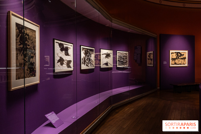 Exposition T'ang Haywen au Musée Guimet à Paris -  A7C8055