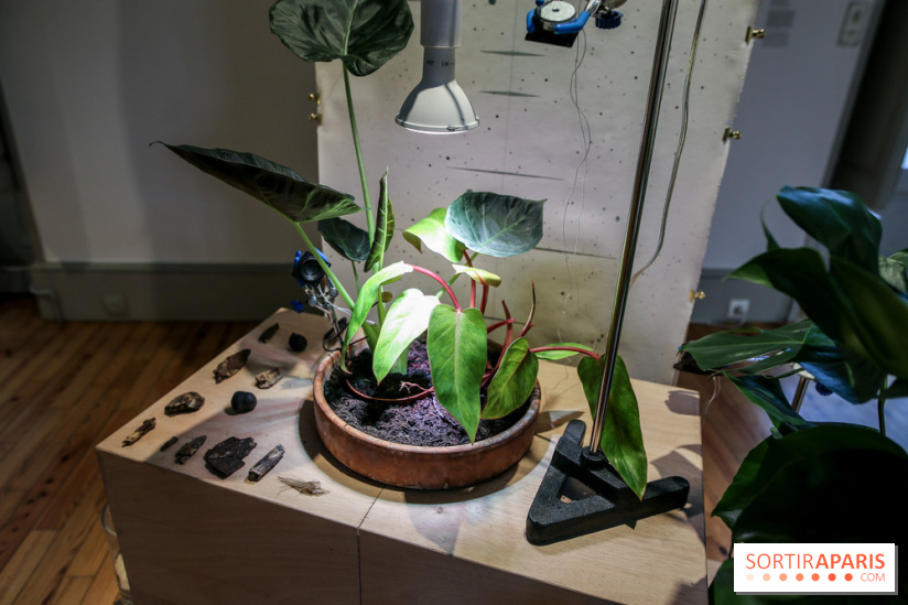 Suivre les ondes, nos photos de l'expo à l'Institut suédois