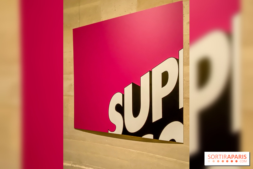 H5 - Voir la French Touch, l'exposition musicale à l'Espace Richaud, à Versailles - IMG 5053