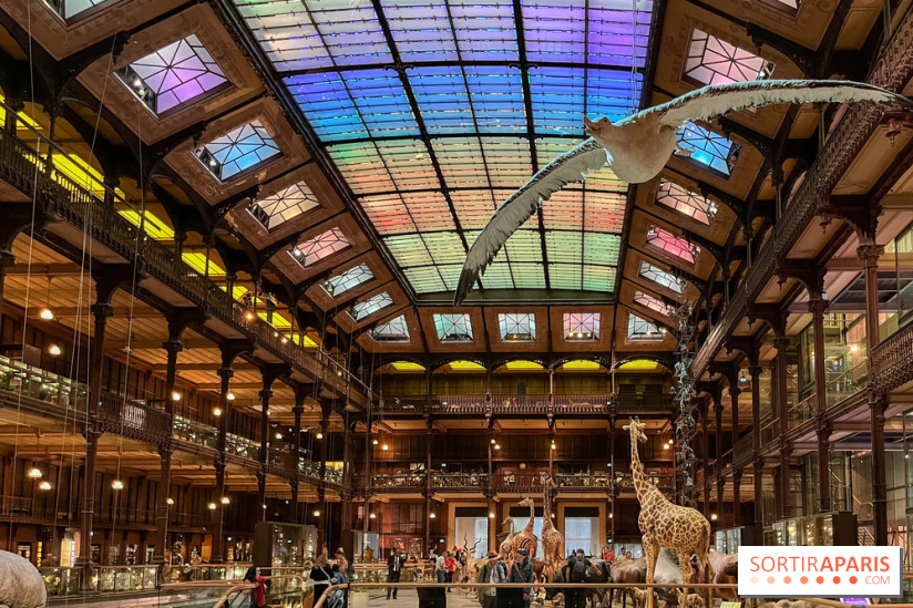 Grande Galerie de l'évolution- visuels 2024