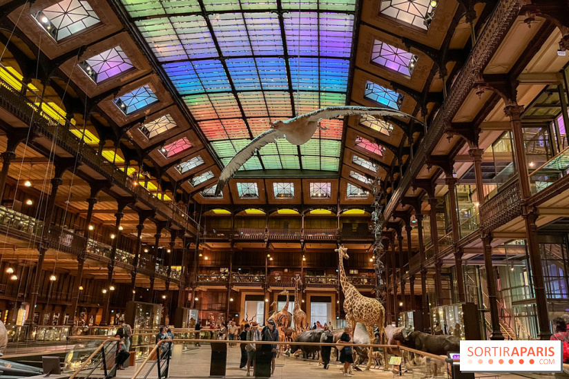 Grande Galerie de l'évolution- visuels 2024 - image00083