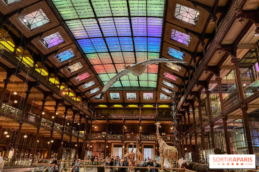 Grande Galerie de l'évolution- visuels 2024 - image00084