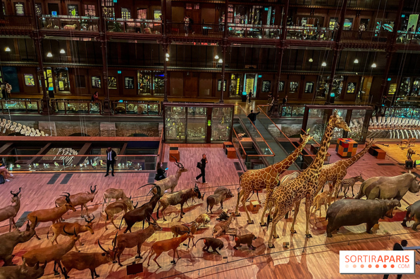 Grande Galerie de l'évolution- visuels 2024 - image00035