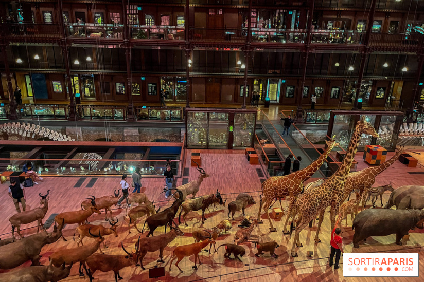 Grande Galerie de l'évolution- visuels 2024 - image00028