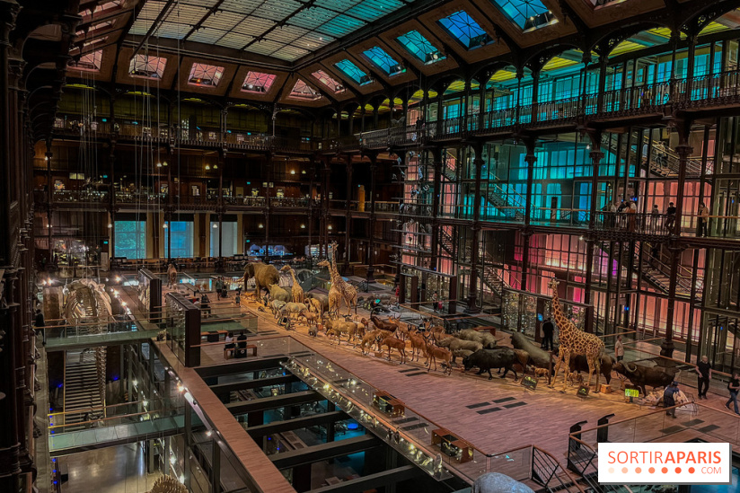 Grande Galerie de l'évolution- visuels 2024