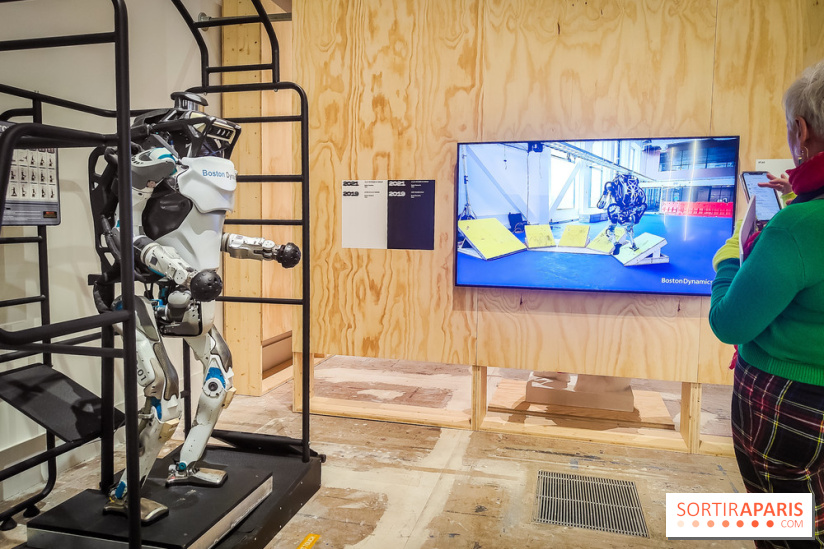 Match, design et sport : l'exposition originale du musée du Luxembourg