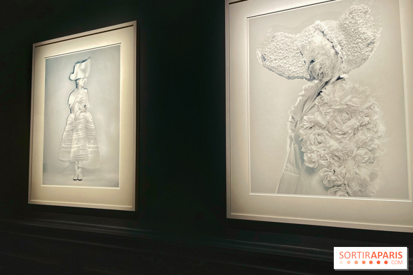 Paolo Roversi - IMG 9450