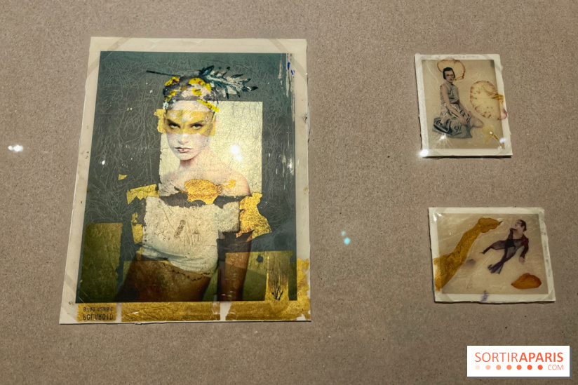 Paolo Roversi - IMG 9472