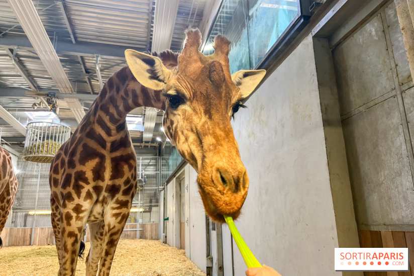 Zoo de Vincennes, Parc zoologique 2024 - nos photos