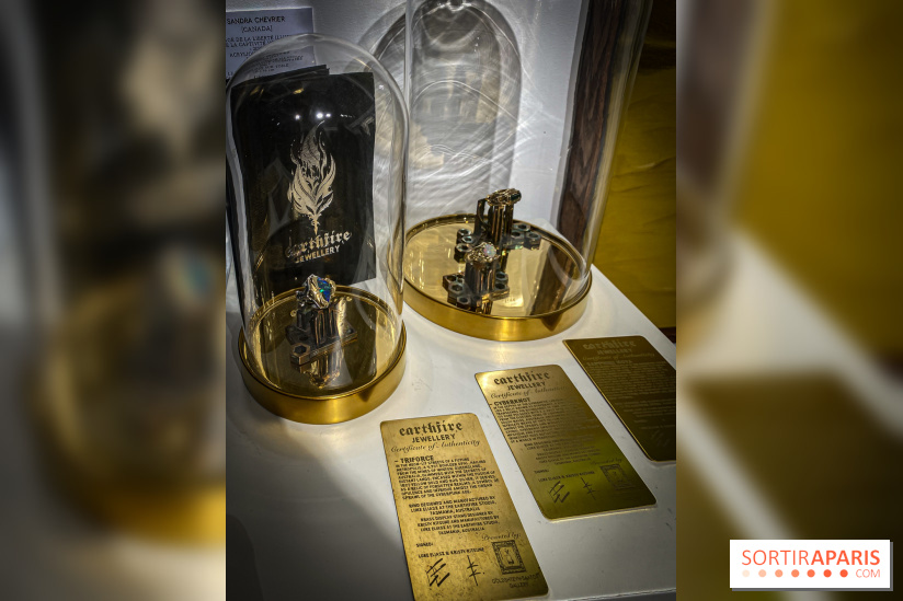 Exposition Cyber Surréalisme à la galerie Goldshteyn-Saatort - IMG 5255