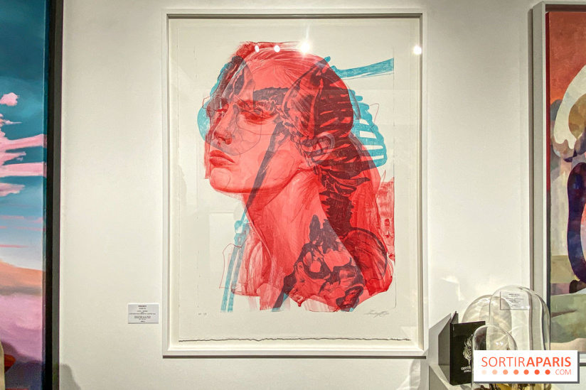 Exposition Cyber Surréalisme à la galerie Goldshteyn-Saatort - IMG 5266