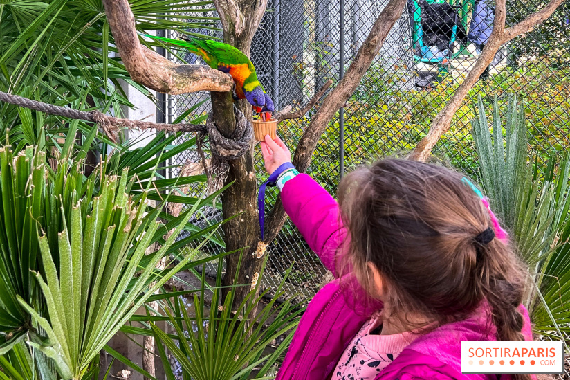 Visuels enfants, attractions, parc, Jardin d'Acclimatation, animaux, zoo - image00036