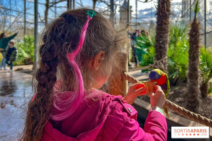 Visuels enfants, attractions, parc, Jardin d'Acclimatation, animaux, zoo
