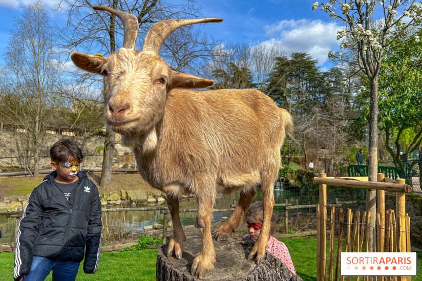 Visuels enfants, attractions, parc, Jardin d'Acclimatation, animaux, zoo - image00052