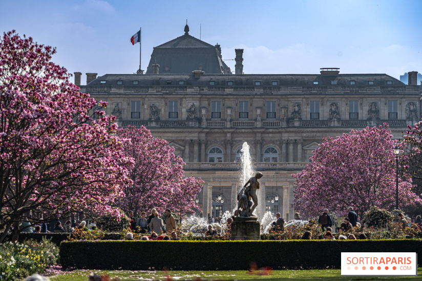 Les magnolias du Jardin du Palais Royal  - printemps - visuel Paris