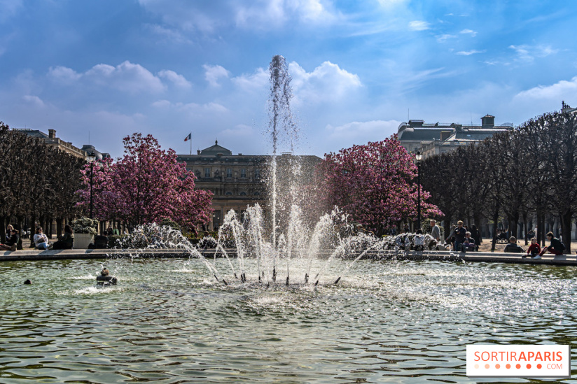 Les magnolias du Jardin du Palais Royal  - printemps - visuel Paris - fontaine - chaleur - beau temps