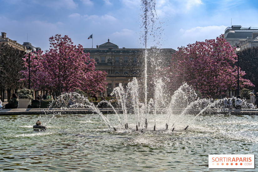 Les magnolias du Jardin du Palais Royal  - printemps - visuel Paris - fontaine - chaleur - beau temps