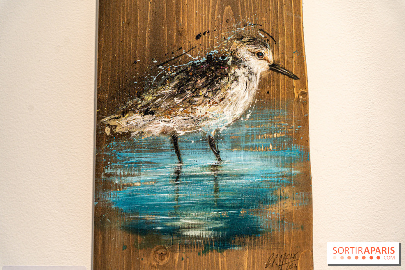 Exposition street-art Sax à Paris : A travers l'océan -  A7C9120