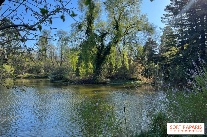 Lac de Saint-Mandé - nos photos - WhatsApp 03 22 à 16.12.39 4c5a0a5e