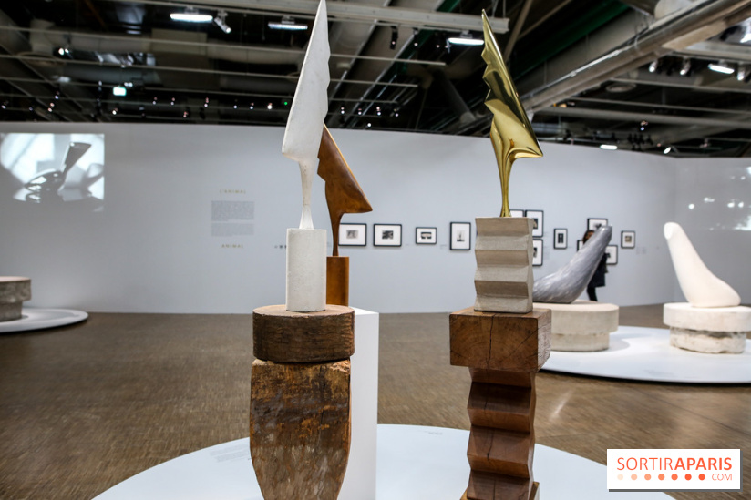 Brancusi au Centre Pompidou, nos photos