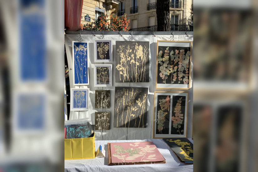 Campagne #32623 - Mariesther (2)