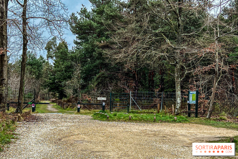 Arbor&Sens, l'Arboretum de Franchard en forêt de Fontainebleau - les photos