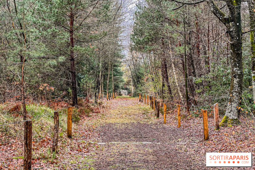 Arbor&Sens, l'Arboretum de Franchard en forêt de Fontainebleau - les photos - IMG 7938